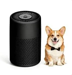 CHIVALZ Purificatore Aria HEPA per Casa, Nero — Umidificatore